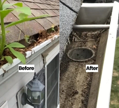 full planted gutter cleaned