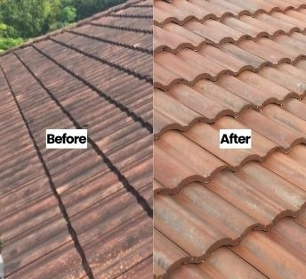 roof cleaning before and after