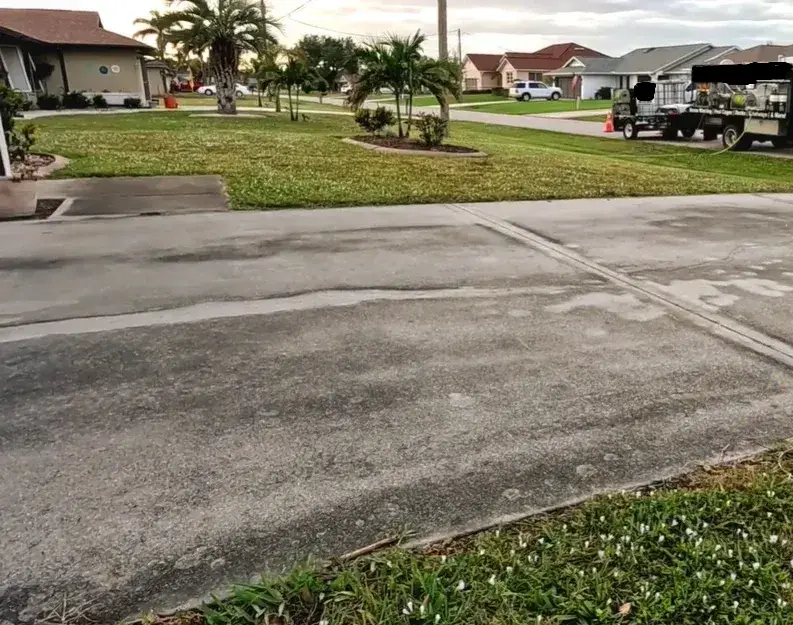 driveway cleanup