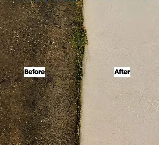 driveway cleanup before after