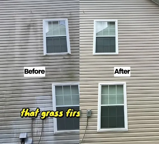 before and after home pressure wash