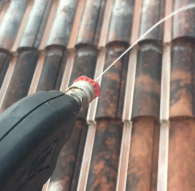 roof cleaning service lakeland